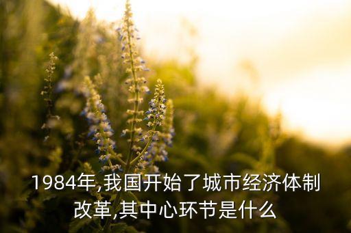 1984年,我國開始了城市經(jīng)濟(jì)體制改革,其中心環(huán)節(jié)是什么