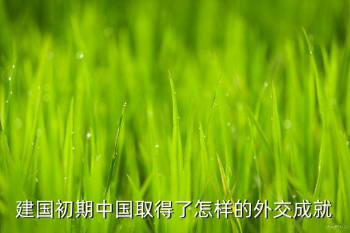 建國初期中國取得了怎樣的外交成就