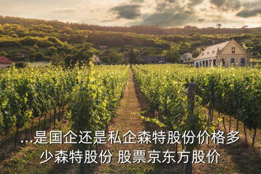 ...是國企還是私企森特股份價(jià)格多少森特股份 股票京東方股價(jià)