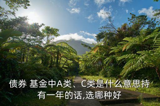 債券 基金中A類、C類是什么意思持有一年的話,選哪種好