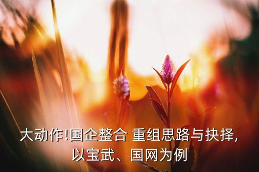 大動(dòng)作!國(guó)企整合 重組思路與抉擇,以寶武、國(guó)網(wǎng)為例