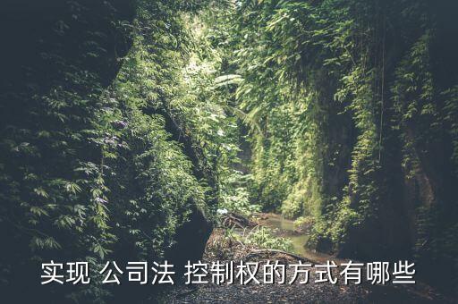 實(shí)現(xiàn) 公司法 控制權(quán)的方式有哪些