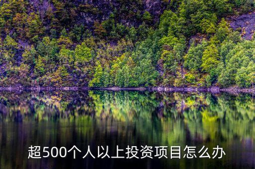 超500個人以上投資項(xiàng)目怎么辦