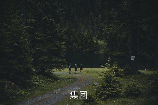 地博集團