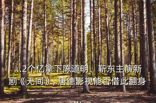 ...2個億拿下陳道明、靳東主演新劇《無間》, 唐德影視能否借此翻身...