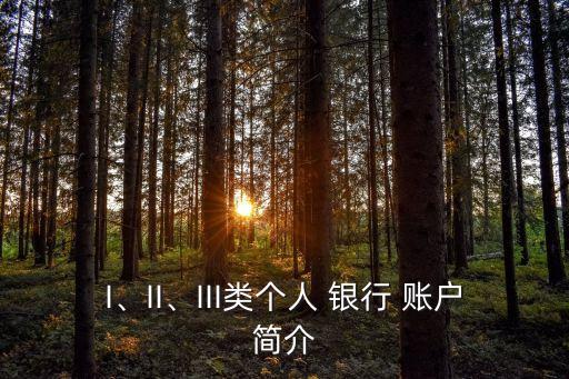 I、II、III類個人 銀行 賬戶簡介
