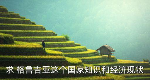 求 格魯吉亞這個(gè)國家知識和經(jīng)濟(jì)現(xiàn)狀