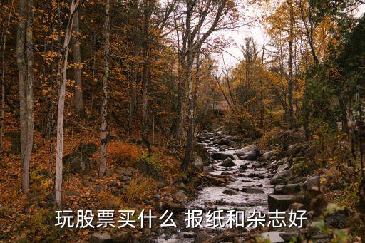 關于上市公司的報紙,報紙上市公司名單