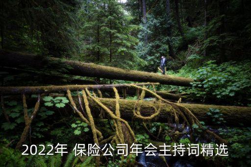 2022年 保險公司年會主持詞精選