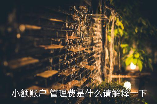  小額賬戶 管理費是什么請解釋一下