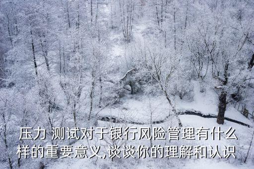 壓力 測試對于銀行風險管理有什么樣的重要意義,談?wù)勀愕睦斫夂驼J識