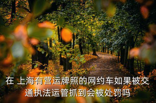 在 上海有營運牌照的網(wǎng)約車如果被交通執(zhí)法運管抓到會被處罰嗎