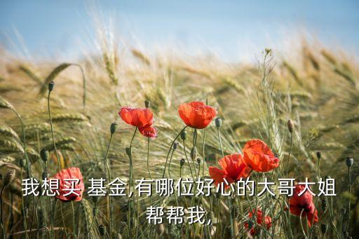 我想買(mǎi) 基金,有哪位好心的大哥大姐幫幫我,