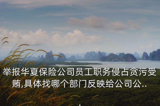 舉報(bào)華夏保險(xiǎn)公司員工職務(wù)侵占貪污受賄,具體找哪個部門反映給公司公...