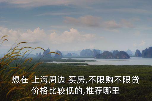 想在 上海周邊 買(mǎi)房,不限購(gòu)不限貸價(jià)格比較低的,推薦哪里