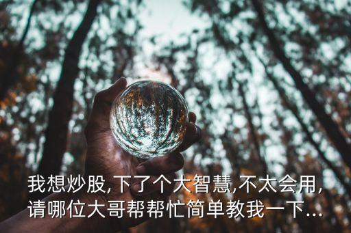 我想炒股,下了個(gè)大智慧,不太會用,請哪位大哥幫幫忙簡單教我一下...