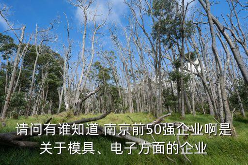 請問有誰知道 南京前50強(qiáng)企業(yè)啊是關(guān)于模具、電子方面的企業(yè)