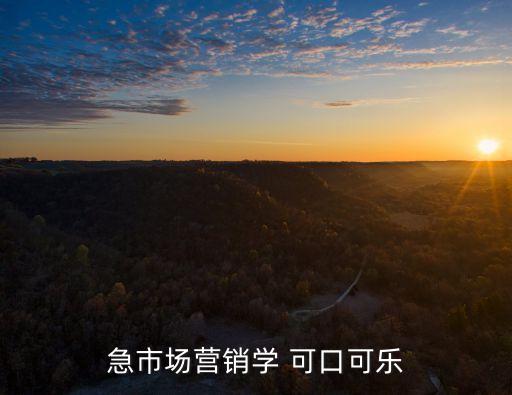 急市場(chǎng)營(yíng)銷學(xué) 可口可樂