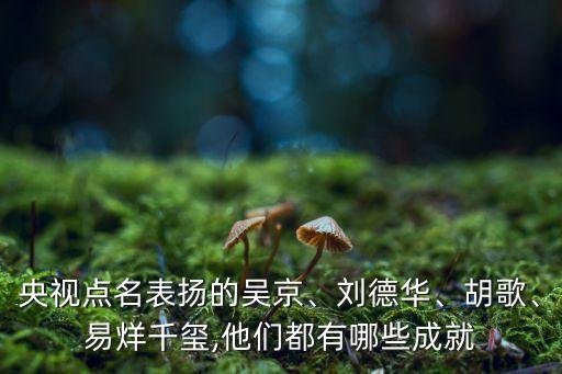央視點名表揚的吳京、劉德華、胡歌、易烊千璽,他們都有哪些成就