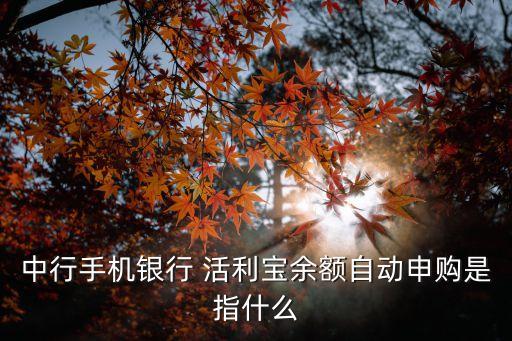 中行手機(jī)銀行 活利寶余額自動(dòng)申購是指什么