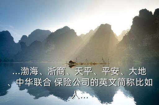 ...渤海、浙商、天平、平安、大地、中華聯(lián)合 保險(xiǎn)公司的英文簡(jiǎn)稱(chēng)比如人...
