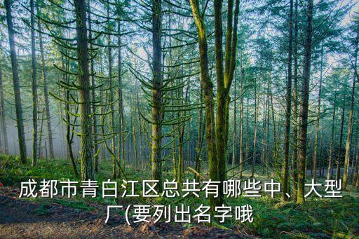  成都市青白江區(qū)總共有哪些中、大型廠(要列出名字哦