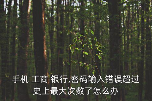 手機(jī) 工商 銀行,密碼輸入錯(cuò)誤超過史上最大次數(shù)了怎么辦
