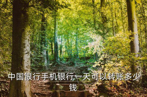  中國銀行手機(jī)銀行一天可以轉(zhuǎn)賬多少錢