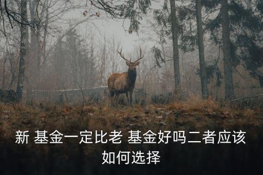 基金中新基金,買(mǎi)新基金還是老基金好?為什么