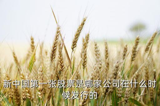中國寶安點火投產時間