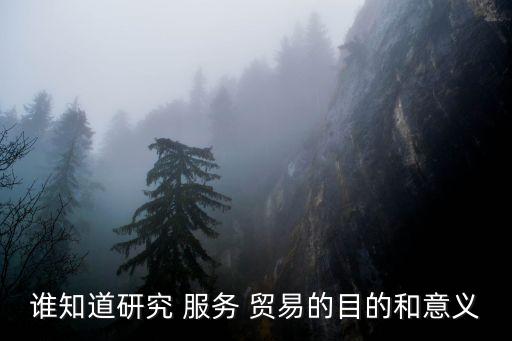 服務(wù)貿(mào)易對(duì)中國經(jīng)濟(jì)的影響