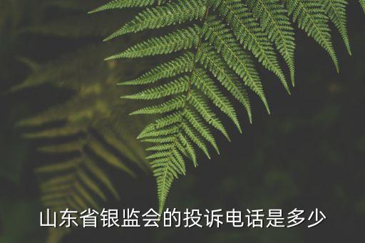 關于銀行業(yè)特殊消費群體金融服務