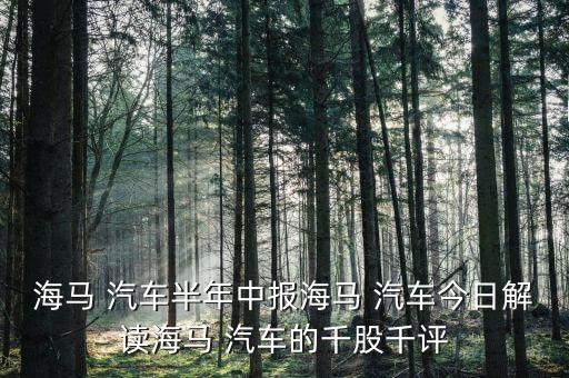 海馬 汽車半年中報(bào)海馬 汽車今日解讀海馬 汽車的千股千評(píng)