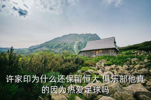 主力投資俱樂(lè)部,武漢俱樂(lè)部投資人是誰(shuí)