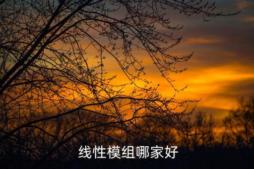 線(xiàn)性馬達(dá)上市公司,中國(guó)馬達(dá)上市公司龍頭股票