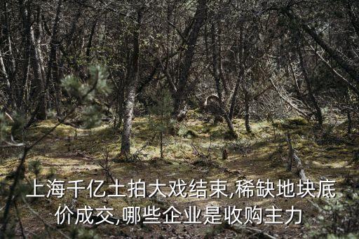 上海鼎溢房地產(chǎn)開(kāi)發(fā)有限公司,上海灝溢房地產(chǎn)開(kāi)發(fā)有限公司