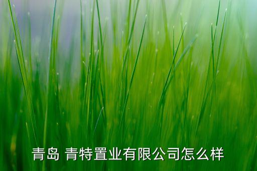 青特集團前身,在青特集團上班怎么樣