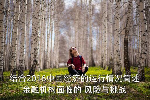 結(jié)合2016中國(guó)經(jīng)濟(jì)的運(yùn)行情況簡(jiǎn)述金融機(jī)構(gòu)面臨的 風(fēng)險(xiǎn)與挑戰(zhàn)