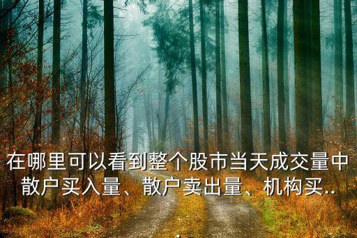 在哪里可以看到整個股市當(dāng)天成交量中散戶買入量、散戶賣出量、機(jī)構(gòu)買...