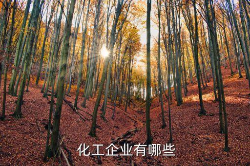 山東濱化集團(tuán)化工設(shè)計研究院,山東化工企業(yè)排名濱化集團(tuán)