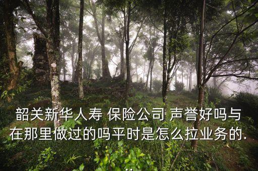 韶關(guān)新華人壽 保險(xiǎn)公司 聲譽(yù)好嗎與在那里做過的嗎平時(shí)是怎么拉業(yè)務(wù)的...