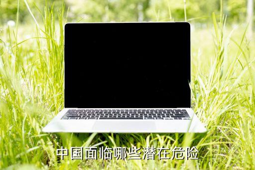 中國(guó)面臨哪些潛在危險(xiǎn)