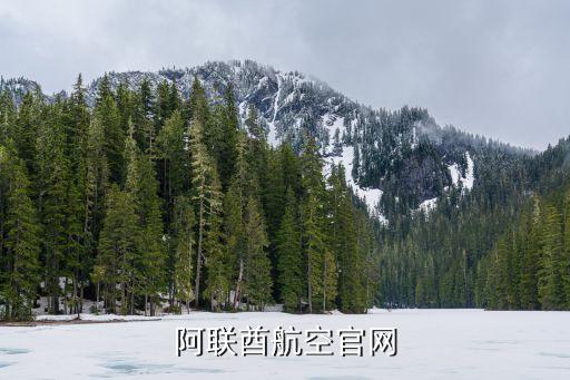 阿聯酋航空官網