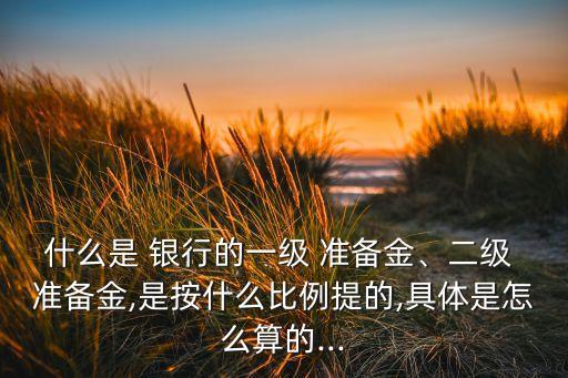 什么是 銀行的一級(jí) 準(zhǔn)備金、二級(jí) 準(zhǔn)備金,是按什么比例提的,具體是怎么算的...