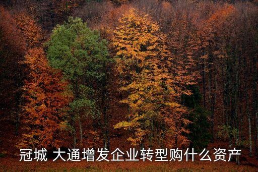 冠城大通股份有限公司機電分公司