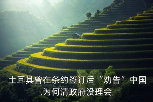  土耳其曾在條約簽訂后“勸告”中國(guó),為何清政府沒理會(huì)