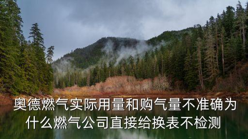  奧德燃?xì)鈱?shí)際用量和購(gòu)氣量不準(zhǔn)確為什么燃?xì)夤局苯咏o換表不檢測(cè)