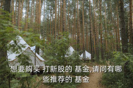 想要購買 打新股的 基金,請(qǐng)問有哪些推薦的 基金