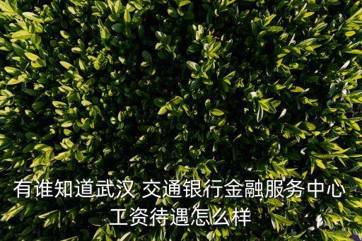有誰(shuí)知道武漢 交通銀行金融服務(wù)中心工資待遇怎么樣