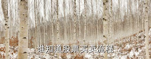 誰(shuí)知道股票買(mǎi)賣(mài)流程
